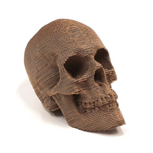 Cardboard Skull